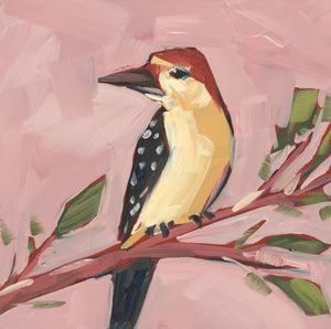 1396: Red Bellied Woodpecker