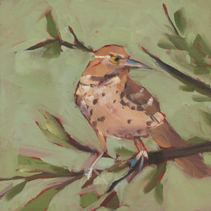 1384: Brown Thrasher on the Watch