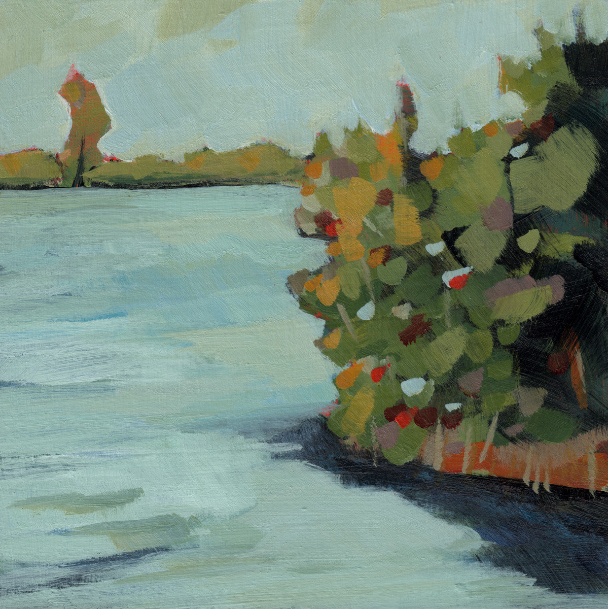 0334: Mangroves by the Sea