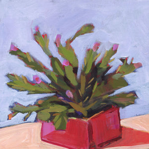 0650: Christmas Cactus