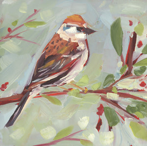 1380: Hey Chipping Sparrow, I See You