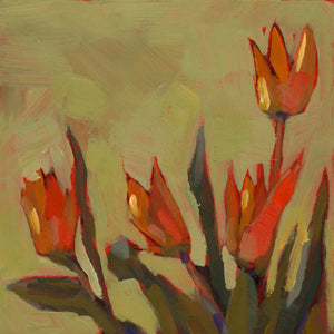 0201: Blazing Tulips