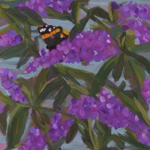 0520: Butterfly Bush