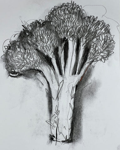 2276: Broccoli Drawing